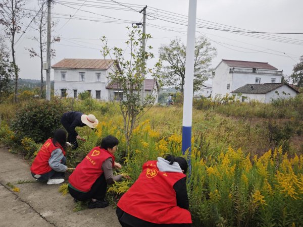 开云体育诓骗锄头、镰刀等用具-开云官网kaiyun皇马赞助商 (中国)官方网站 登录入口