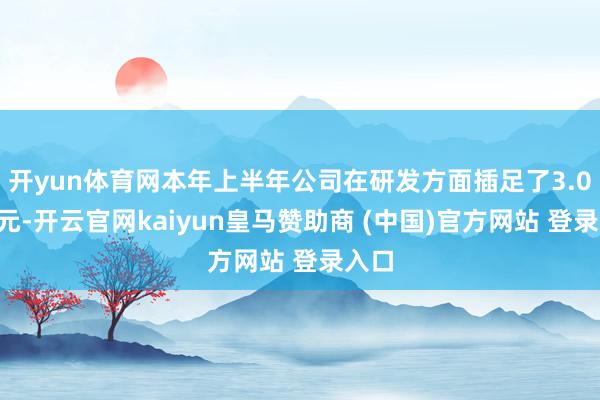 开yun体育网本年上半年公司在研发方面插足了3.07亿元-开云官网kaiyun皇马赞助商 (中国)官方网站 登录入口