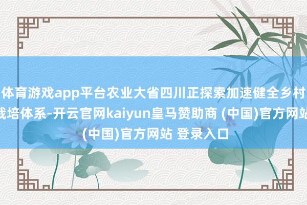 体育游戏app平台农业大省四川正探索加速健全乡村修复工匠栽培体系-开云官网kaiyun皇马赞助商 (中国)官方网站 登录入口