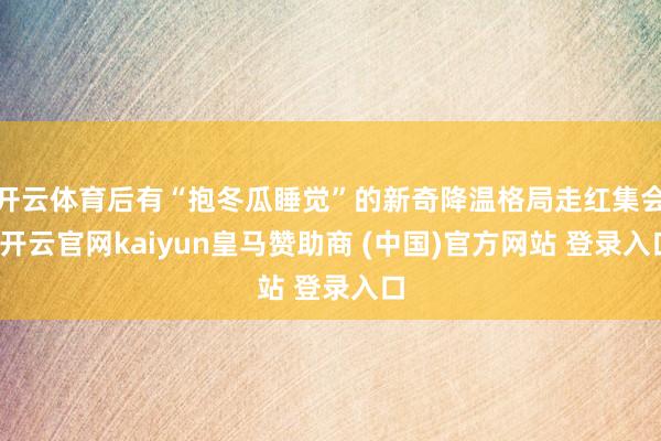 开云体育后有“抱冬瓜睡觉”的新奇降温格局走红集会-开云官网kaiyun皇马赞助商 (中国)官方网站 登录入口